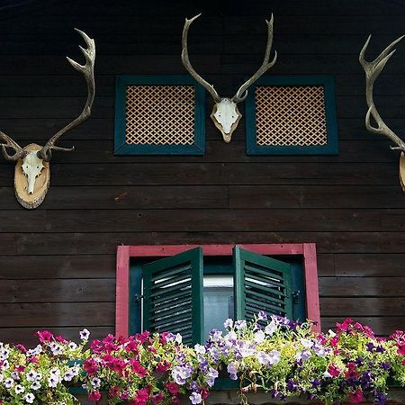 Angerer Alm Sankt Johann in Tirol Exterior foto