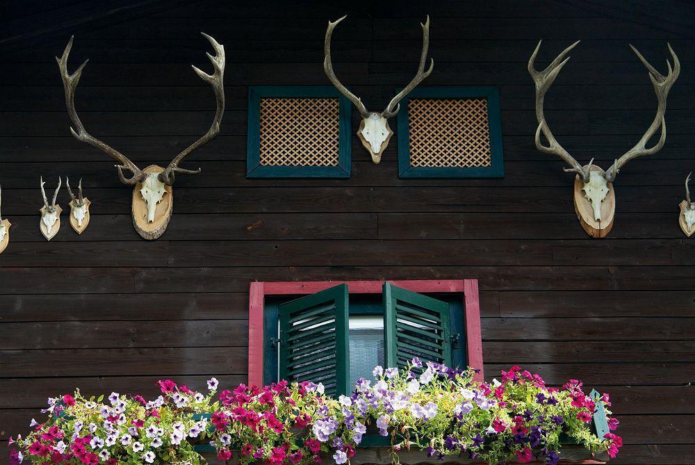 Angerer Alm Sankt Johann in Tirol Exterior foto